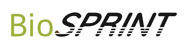 (BS) logo