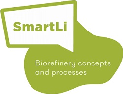 (SM) Logo